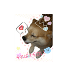 こはたんスタンプ@@（個別スタンプ：6）