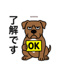名前入りピットブルブラウン（個別スタンプ：5）