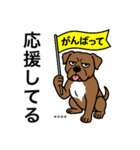 名前入りピットブルブラウン（個別スタンプ：7）