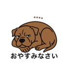 名前入りピットブルブラウン（個別スタンプ：8）