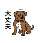 名前入りピットブルブラウン（個別スタンプ：14）