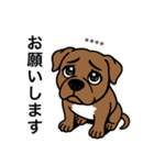 名前入りピットブルブラウン（個別スタンプ：15）