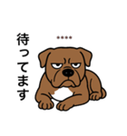 名前入りピットブルブラウン（個別スタンプ：16）