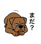 名前入りピットブルブラウン（個別スタンプ：17）