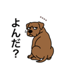 名前入りピットブルブラウン（個別スタンプ：18）
