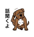 名前入りピットブルブラウン（個別スタンプ：19）