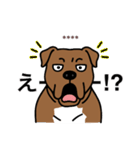 名前入りピットブルブラウン（個別スタンプ：21）