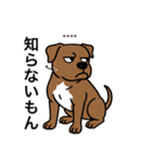 名前入りピットブルブラウン（個別スタンプ：23）