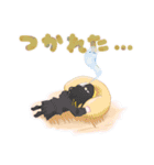 週末いつものところで、 Vol.2（個別スタンプ：12）