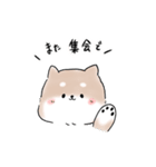 西堀ラブスタンプ（個別スタンプ：7）