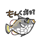 ダジャレなお魚スタンプ（個別スタンプ：12）