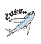 ダジャレなお魚スタンプ（個別スタンプ：15）