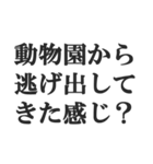 ゴリラを煽る【毒舌、辛口、悪口】(修正版)（個別スタンプ：15）
