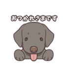 うちのイヌなど(ラブラドール＆チワワ)（個別スタンプ：1）