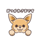 うちのイヌなど(ラブラドール＆チワワ)（個別スタンプ：2）