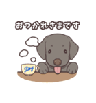 うちのイヌなど(ラブラドール＆チワワ)（個別スタンプ：3）
