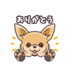 うちのイヌなど(ラブラドール＆チワワ)（個別スタンプ：8）