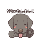 うちのイヌなど(ラブラドール＆チワワ)（個別スタンプ：9）