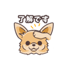 うちのイヌなど(ラブラドール＆チワワ)（個別スタンプ：11）
