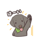 うちのイヌなど(ラブラドール＆チワワ)（個別スタンプ：12）