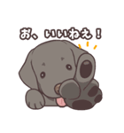 うちのイヌなど(ラブラドール＆チワワ)（個別スタンプ：13）