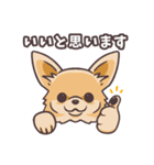 うちのイヌなど(ラブラドール＆チワワ)（個別スタンプ：14）