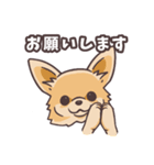 うちのイヌなど(ラブラドール＆チワワ)（個別スタンプ：15）