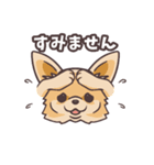 うちのイヌなど(ラブラドール＆チワワ)（個別スタンプ：16）