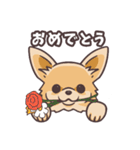 うちのイヌなど(ラブラドール＆チワワ)（個別スタンプ：19）