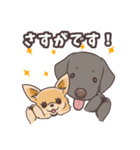 うちのイヌなど(ラブラドール＆チワワ)（個別スタンプ：21）