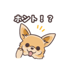 うちのイヌなど(ラブラドール＆チワワ)（個別スタンプ：22）