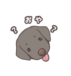 うちのイヌなど(ラブラドール＆チワワ)（個別スタンプ：24）
