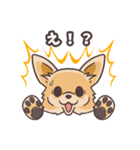 うちのイヌなど(ラブラドール＆チワワ)（個別スタンプ：26）