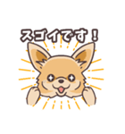 うちのイヌなど(ラブラドール＆チワワ)（個別スタンプ：29）
