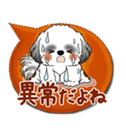 B＆W シーズー犬 2025「とにかく暑い！」（個別スタンプ：5）