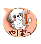 B＆W シーズー犬 2025「とにかく暑い！」（個別スタンプ：6）
