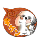 B＆W シーズー犬 2025「とにかく暑い！」（個別スタンプ：12）