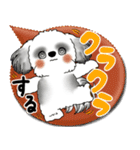 B＆W シーズー犬 2025「とにかく暑い！」（個別スタンプ：13）