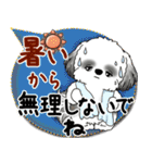 B＆W シーズー犬 2025「とにかく暑い！」（個別スタンプ：17）