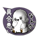 B＆W シーズー犬 2025「とにかく暑い！」（個別スタンプ：19）