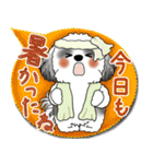 B＆W シーズー犬 2025「とにかく暑い！」（個別スタンプ：21）