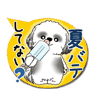 B＆W シーズー犬 2025「とにかく暑い！」（個別スタンプ：22）