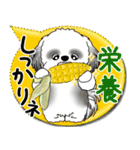 B＆W シーズー犬 2025「とにかく暑い！」（個別スタンプ：27）