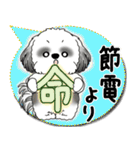 B＆W シーズー犬 2025「とにかく暑い！」（個別スタンプ：31）