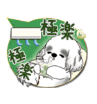 B＆W シーズー犬 2025「とにかく暑い！」（個別スタンプ：34）
