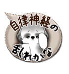 B＆W シーズー犬 2025「とにかく暑い！」（個別スタンプ：35）