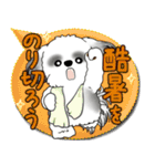 B＆W シーズー犬 2025「とにかく暑い！」（個別スタンプ：37）