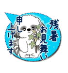 B＆W シーズー犬 2025「とにかく暑い！」（個別スタンプ：40）