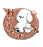 犬さん 2025「とにかく暑い！」（個別スタンプ：39）