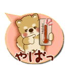 柴犬さん 2025「とにかく暑い！」（個別スタンプ：6）